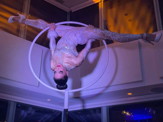 Freestanding Aerial Lollipop Rig performer in costume at an event in the New York metropolitan area (image 19)