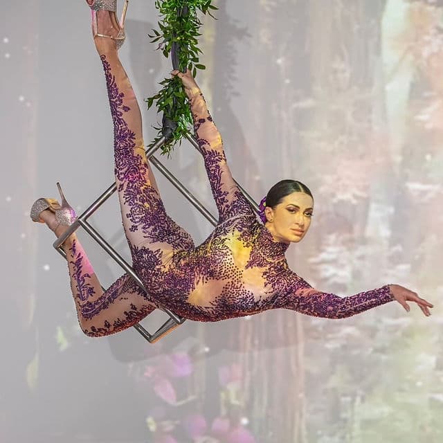 Freestanding Aerial Lollipop Rig performer in costume at an event in the New York metropolitan area (image 23)