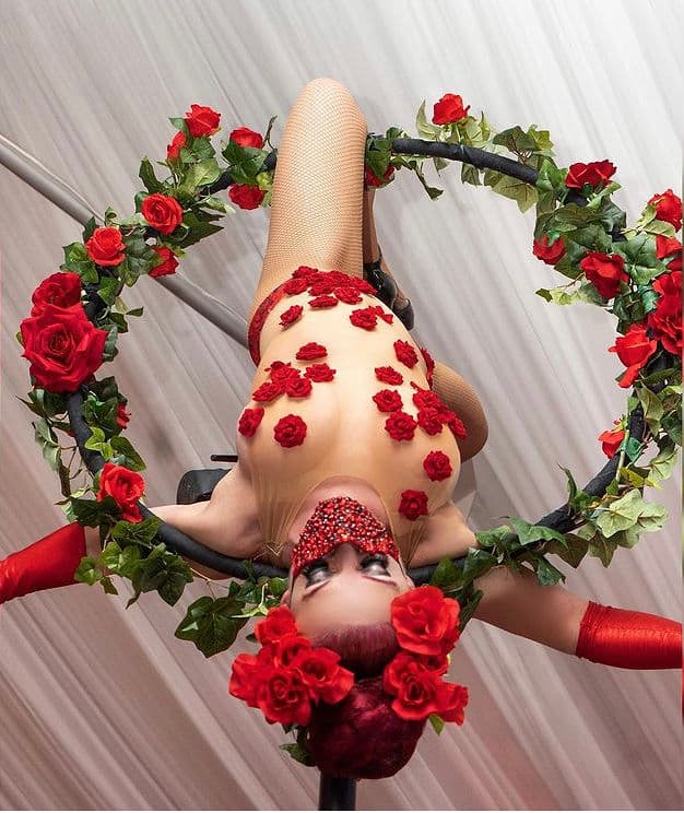 Freestanding Aerial Lollipop Rig performer in costume at an event in the New York metropolitan area (image 27)