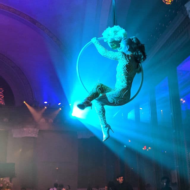 Freestanding Aerial Lollipop Rig performer in costume at an event in the New York metropolitan area (image 33)