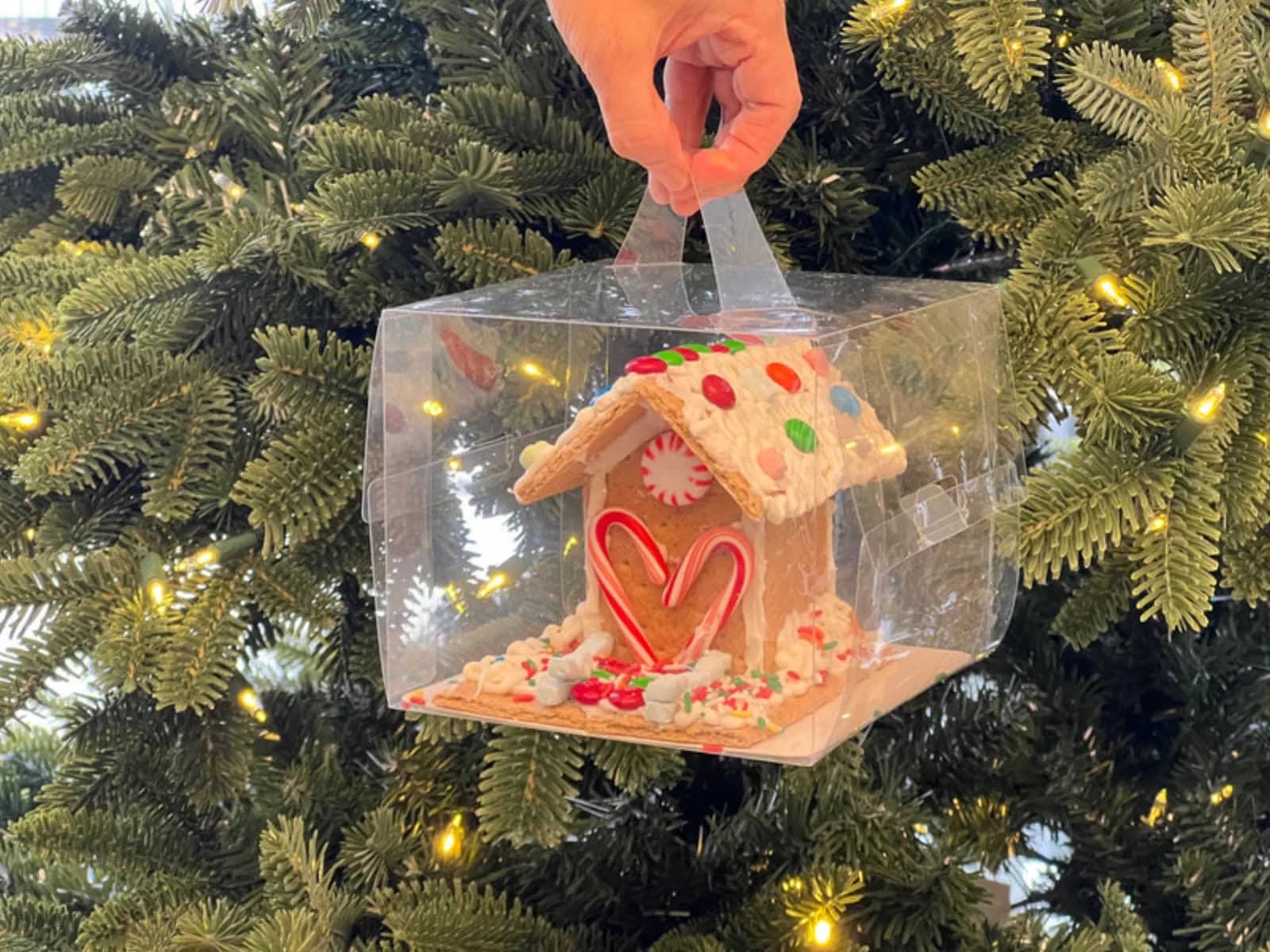 Hand holding a boxed gingerbread house in front of a lit Christmas tree, a take-home keepsake from the gingerbread house station