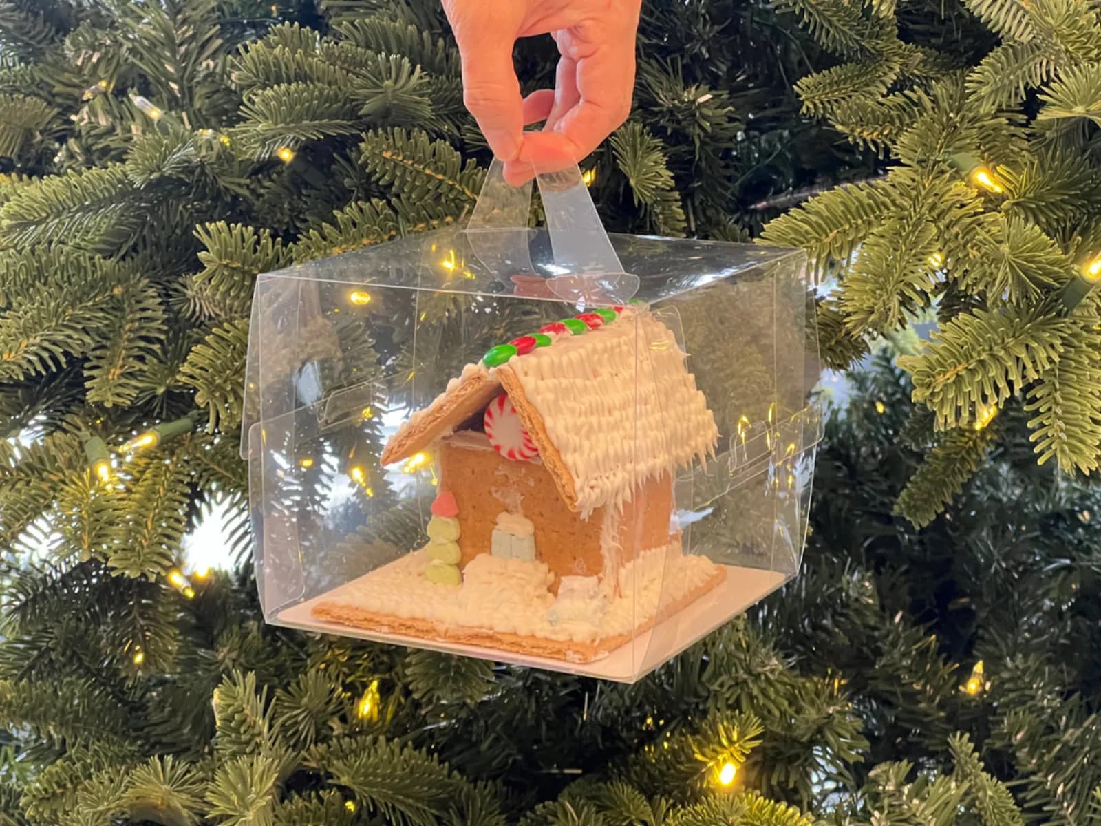 Boxed gingerbread house with icicle-drip roof icing and a peppermint candy accent held up in front of a lit Christmas tree, a take-home keepsake from the gingerbread house station