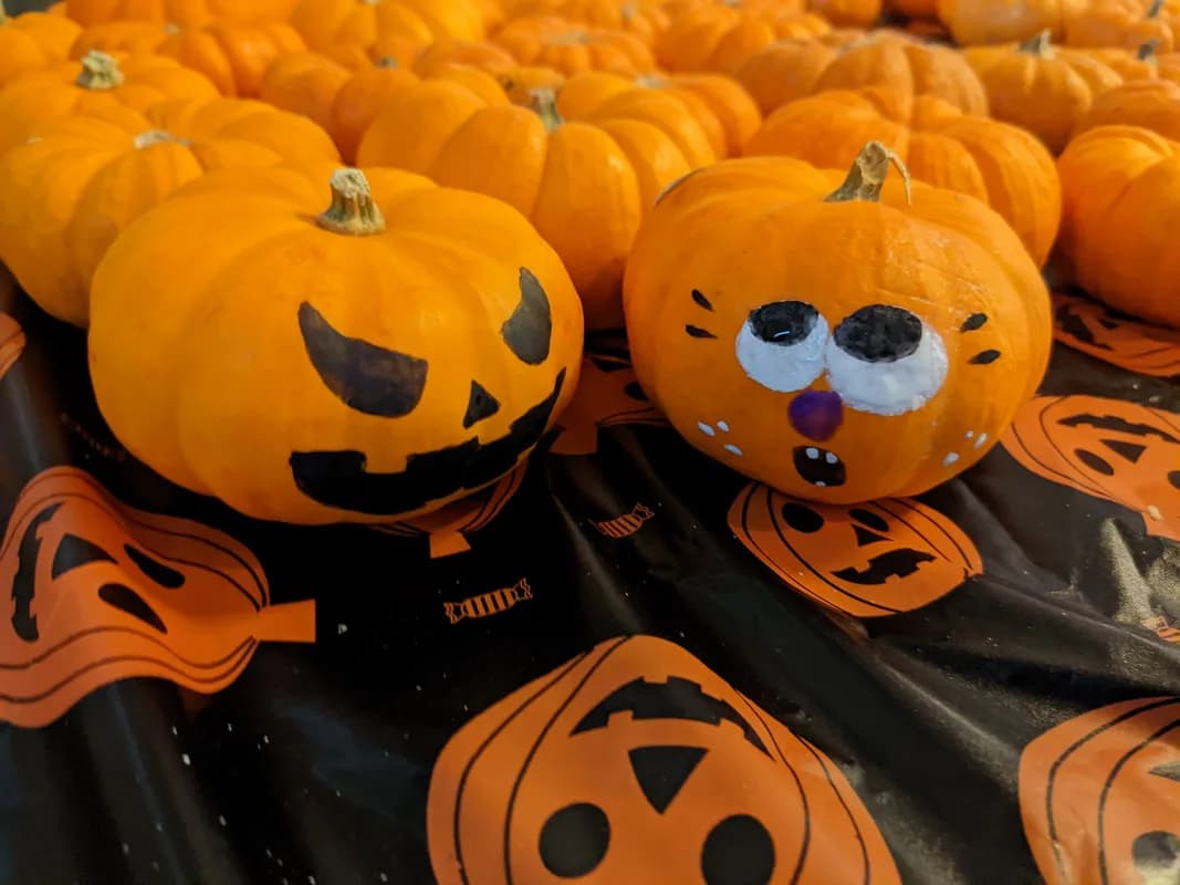 Two hand-painted pumpkins with spooky jack-o-lantern faces displayed among unpainted pumpkins at a fall event