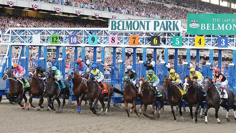 Horse race playing on the big screens during a day at the races betting experience at a corporate event or gala in Connecticut